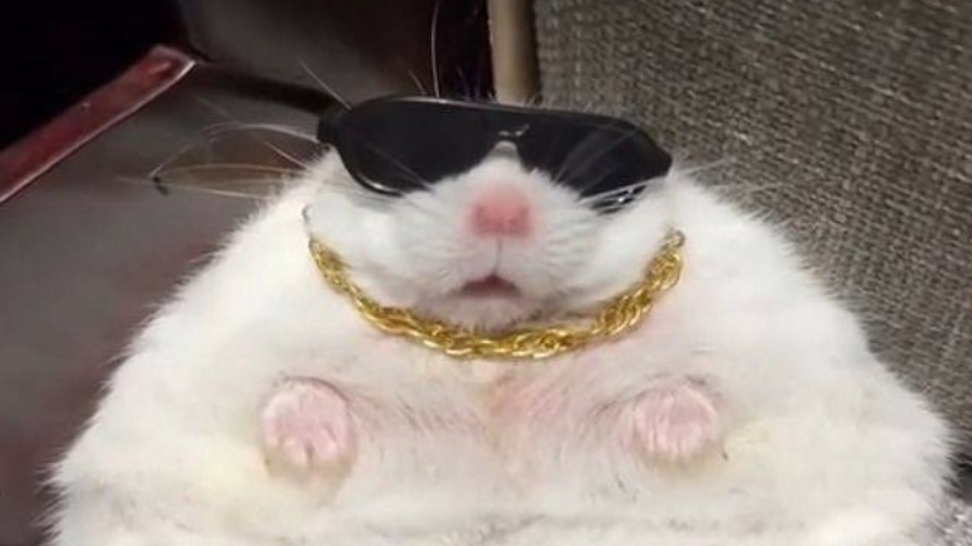 ребят, как думаете, нормально получилось? смотреть онлайн