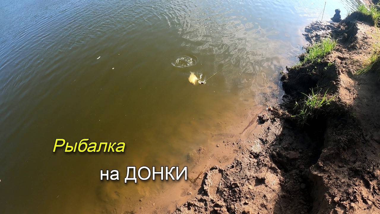 Летняя рыбалка на донки в лютом коряжнике смотреть онлайн