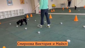 НОУЗВОРК для собак / Тестирование: запах корицы 14.04.2024