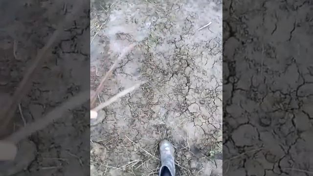 ШОК !!! Земля проваливается!!! смотреть онлайн