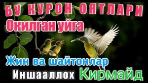 UYQU UCHUN MAYIN QURO'N!  | uyqu uchun mayinquran  | УХЛАШ УЧУН МАЙИН КУРОН | #quran