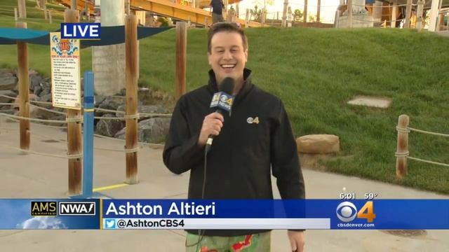 Ashton Altieri Sports Radar Board Shorts смотреть онлайн