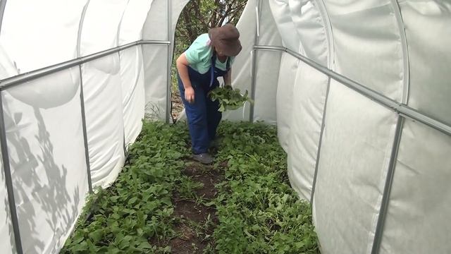 Мужу всё пареллельно! Так мы живём в хуторе смотреть онлайн