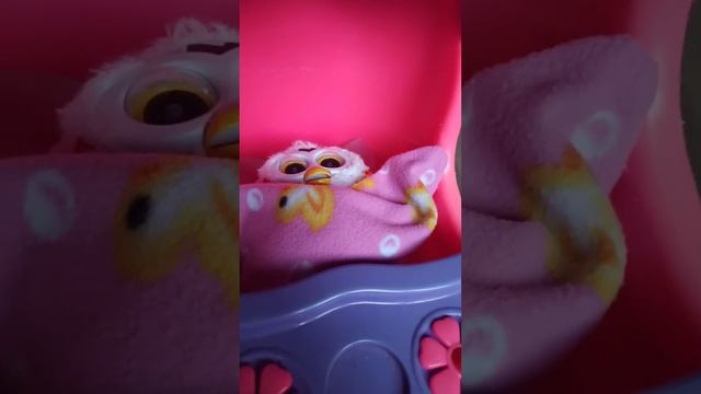 светящиеся ушки😍Ферби По имени Пикси🐱и любимые котики смотреть онлайн