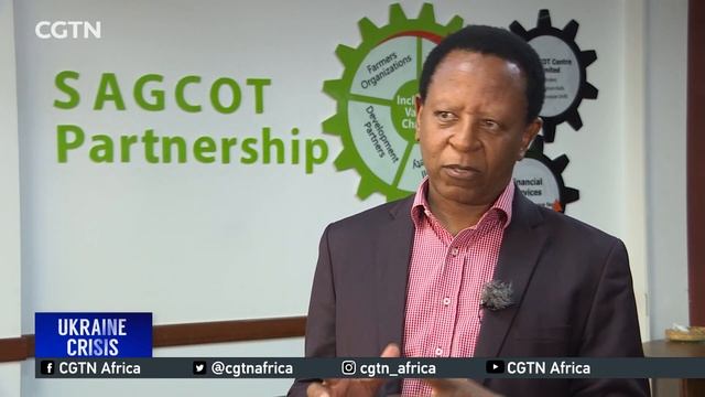 Tanzanians substitute wheat shortfalls with traditional foods смотреть онлайн