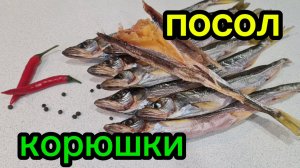 Как засолить корюшку: идеальный рецепт для вкусной закуски