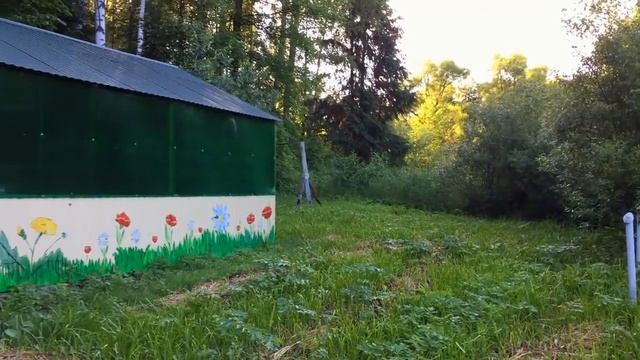Обустроенный родник в Курской области смотреть онлайн