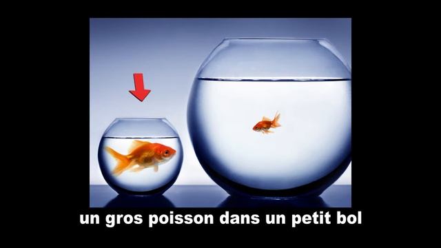 French Vocabulary, part 3 смотреть онлайн