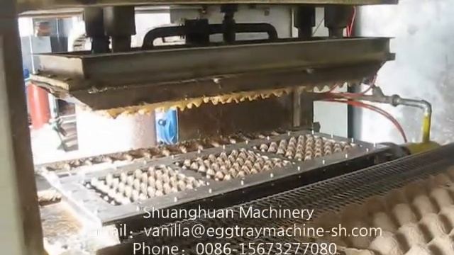 SHF-1000A 1000pcs/h egg tray machine,pulp molding machine смотреть онлайн