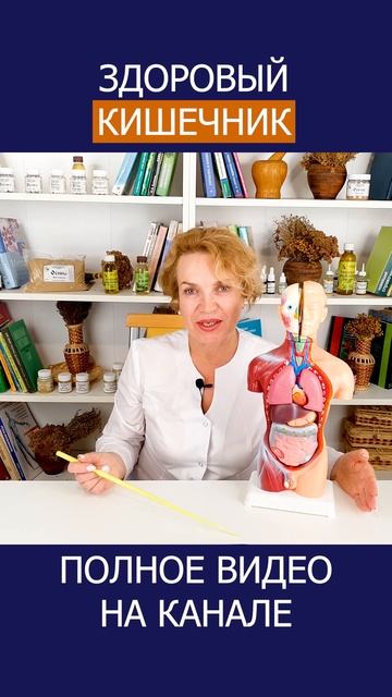 КИШЕЧНИК ВОССТАНОВИТСЯ без таблеток, если соблюдать ЭТИ ПРАВИЛА! #shotrs #кишечник #жкх смотреть онлайн