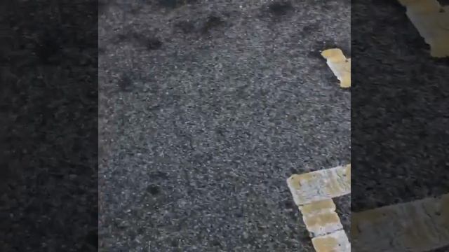 Alpina B3 F30 cold start смотреть онлайн