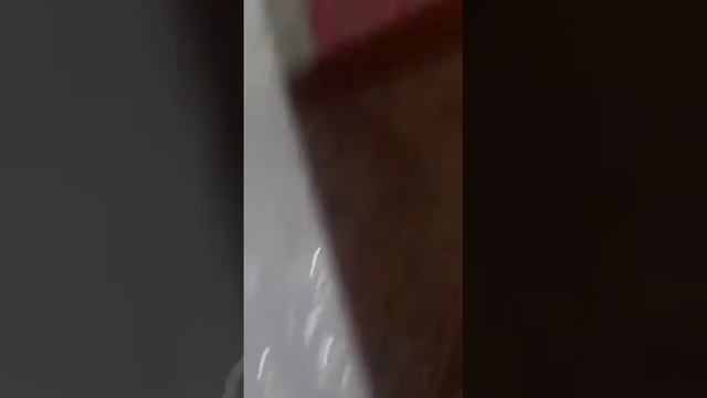 Абдуллажон Тошматов НУРЛИ НУРЛИ  #Quva #Toy #fargona #azik