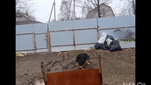 Кайлас смотреть онлайн