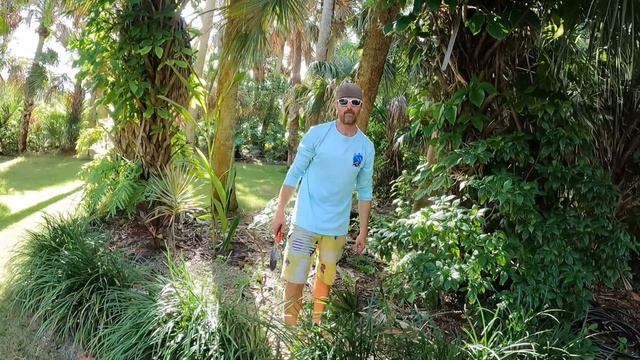 The Planting Pirates Episode #14 | Planting FREE Plants we find Weekly! смотреть онлайн