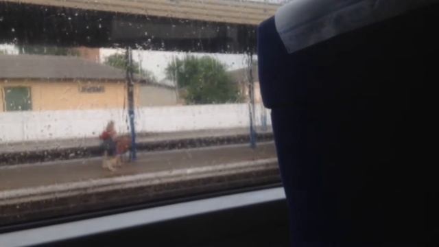 VLOG|| Ёжик// Запорожье // Море// Женя|| MerryCookies смотреть онлайн