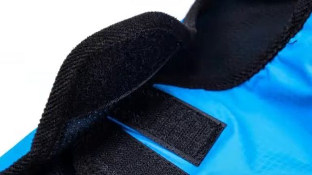 New dog raincoat смотреть онлайн