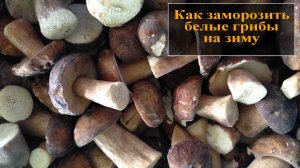 Как заморозить белые грибы