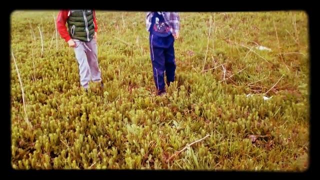 Паркур смотреть онлайн