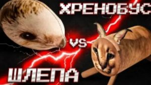 Битва большого Шлёпы и Хренобуса|Блоп топ