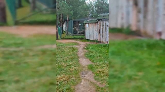 VLOG: Мини отпуск воспитателя. Новый формат))) Как отдыхает воспитатель. смотреть онлайн