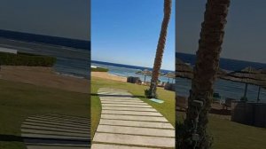 Rixos Sharm El Sheikh (обзор отеля март 2021)