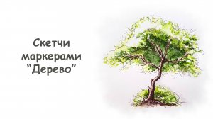 Рисуем дерево маркерами / Курс «Скетчи маркерами для начинающих» от more-art.ru