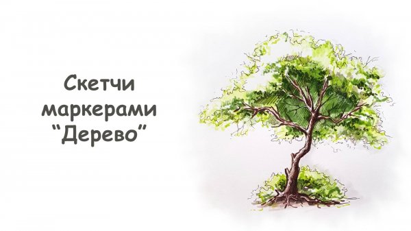 Рисуем дерево маркерами / Курс "Скетчи маркерами для начинающих" от more-art.ru