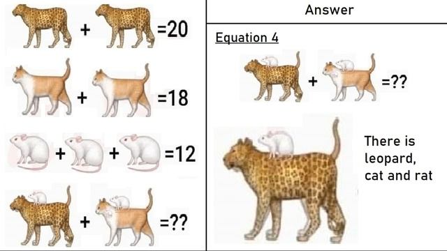 Leopard Cat Rat Puzzle - Picture Puzzle смотреть онлайн