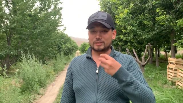 Байыштын сыры Темир Назаров смотреть онлайн