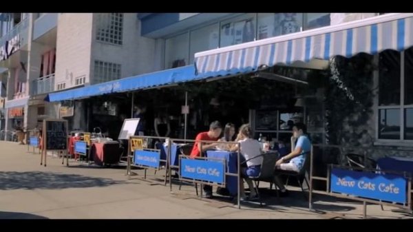 Салам, New York 2013 - Salam, New York!