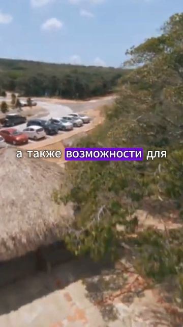 Тропический остров с низкими ценами для отдыха #путешествия #море смотреть онлайн