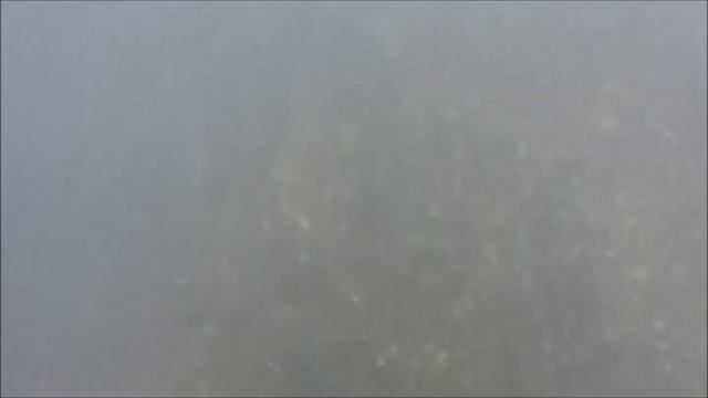 Snorkeling with an 8000 lumens LED Flashlight смотреть онлайн