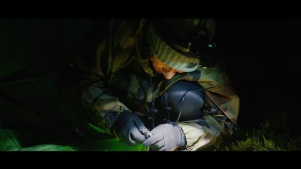 Водорослевый Картель VERTERA.