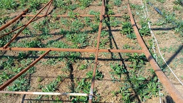 Арочна теплиця своїми руками. Вікна, завіси. смотреть онлайн