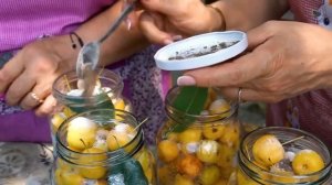 Приготовление варенья из инжира в деревне Азербайджанская Кухня Деревенская Кухня  Рецепты