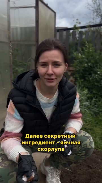 Секретный ингредиент для непоеденной капусты #капуста #лайфхак #дача #сад #огород смотреть онлайн