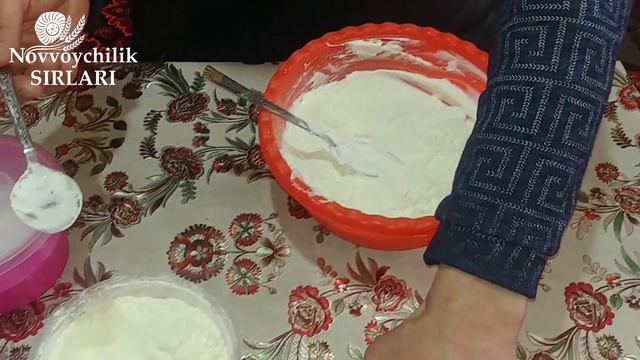 NOVVOYCHILIK SIRLARI / SUZMA TAYYORLAYMIZ