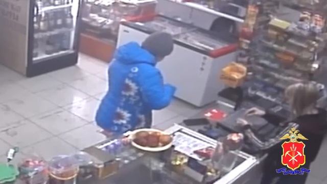 В Тайгинском округе будут судить местную жительницу, которая похитила телефон смотреть онлайн