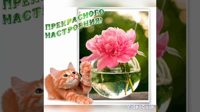 @Доброе утро, отличного настроения 💞💞💞💞💞🤗👋👋👋.