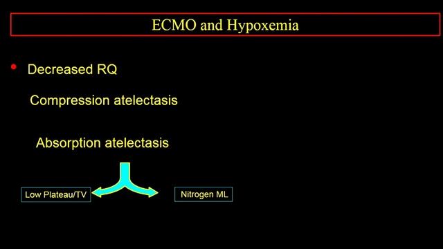 Ventilation on ECMO Tidal PEEP Driving pressure Luciano Gattinoni 2017
