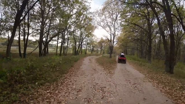 FPV - Дзержинск DJI Avata-Дубовая роща смотреть онлайн