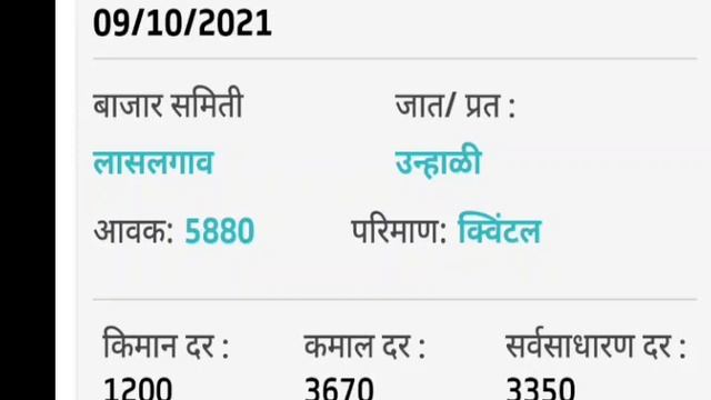 कांदा दरात मोठी वाढ,😀भाव गजबजले,kanda market report today, onion market report today, kanda bhav, смотреть онлайн