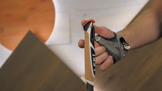 LEKI Traveller Carbon