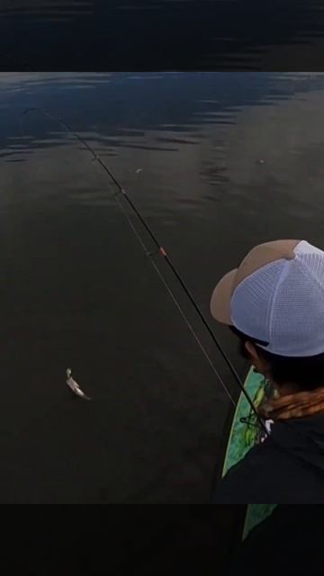 Daiwa BG 2500 Paddle board fishing смотреть онлайн
