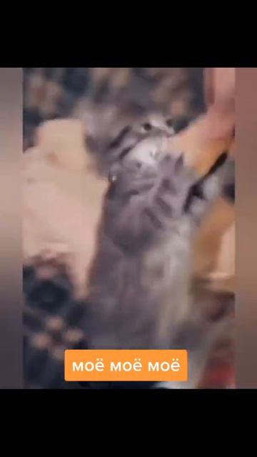 Я думал он просто лизнёт смотреть онлайн