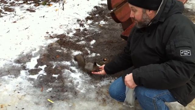 Измайловский парк смотреть онлайн