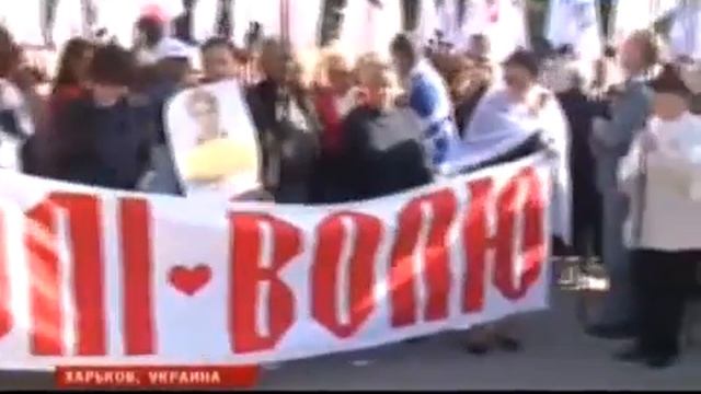 "Партия Регионов" Украины - ЕС или ТС смотреть онлайн