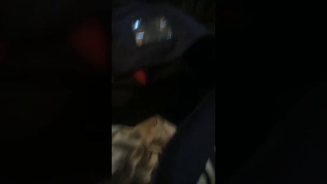 What's in the bag quick version смотреть онлайн