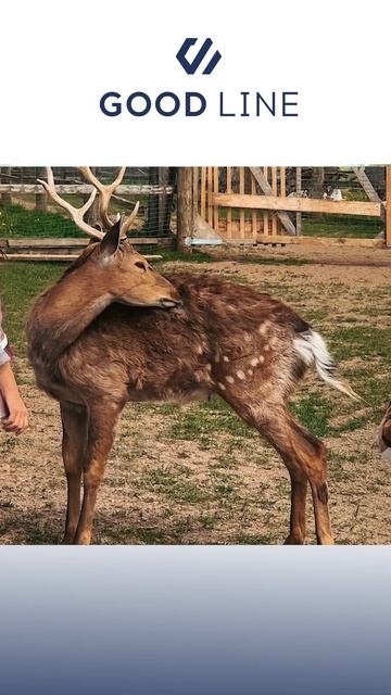 Самое большое водохранилище в МО смотреть онлайн