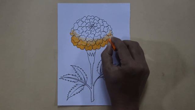 How to draw marigold flower for kids | Marigold flower drawing easy and simple смотреть онлайн